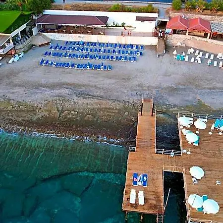 Blue Fish 4*