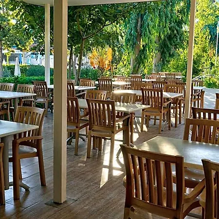 Hotel Blue Fish Alanya
