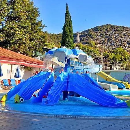 Hotel Blue Fish